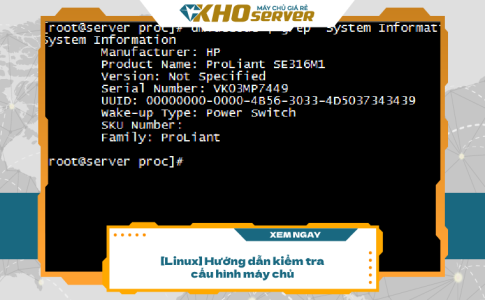 [Linux] Hướng dẫn kiểm tra cấu hình máy chủ