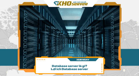 Database server là gì? Lợi ích Database server