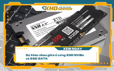 Sự khác nhau giữa ổ cứng SSD NVMe và SSD SATA