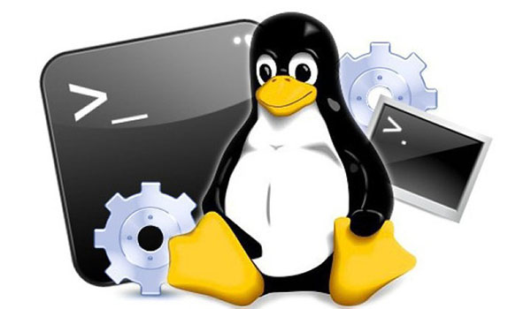 So sánh chi tiết về Linux server và Windows server
