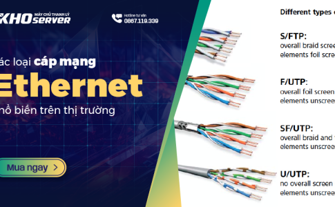 Các loại cáp mạng Ethernet phổ biến trên thị trường