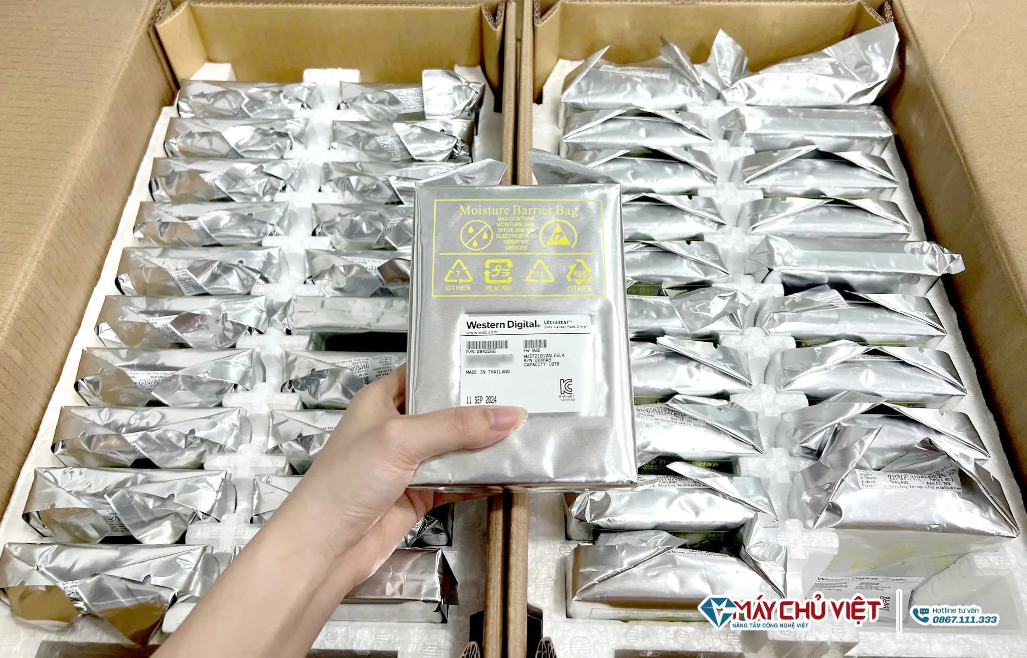 Khoserver cung cấp ổ cứng WD cũ giá rẻ nhất thị trường