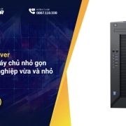 Dell T30 server: Giải pháp máy chủ nhỏ gọn cho doanh nghiệp vừa và nhỏ