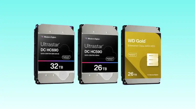 HDD server Western Digital