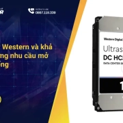 HDD server Western và khả năng đáp ứng nhu cầu mở rộng hệ thống