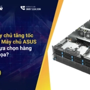 Hệ thống máy chủ tăng tốc GPU: Tại sao Máy chủ ASUS ESC8000 là lựa chọn hàng đầu cho đồ họa?