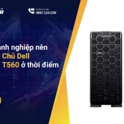 Tại sao doanh nghiệp nên đầu tư Máy Chủ Dell PowerEdge T560 ở thời điểm hiện tại?