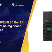 Máy chủ HPE ML30 Gen11 phù hợp với những doanh nghiệp nào?