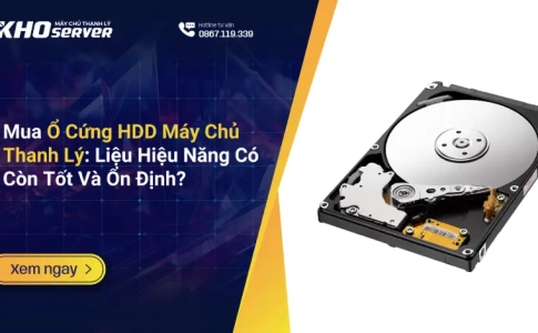 Mua Ổ Cứng HDD Máy Chủ Thanh Lý Liệu Hiệu Năng Có Còn Tốt Và Ổn Định