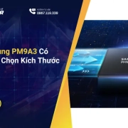 SSD Samsung PM9A3 Có Những Lựa Chọn Kích Thước Nào?