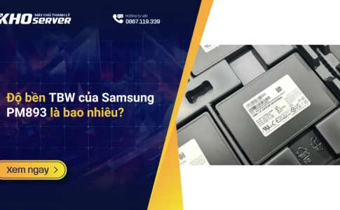 Độ bền TBW của Samsung PM893 là bao nhiêu?