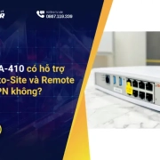 Firewall PA-410 có hỗ trợ VPN Site-to-Site và Remote Access VPN không?