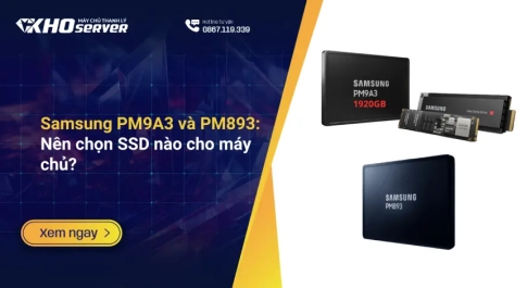 Samsung PM9A3 và PM893: Nên chọn SSD nào cho máy chủ?