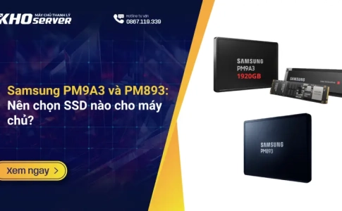 Samsung PM9A3 và PM893: Nên chọn SSD nào cho máy chủ?