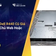 Có Nên Mua Dell R440 Cũ Giá Rẻ Làm Máy Chủ Web Hoặc Database?